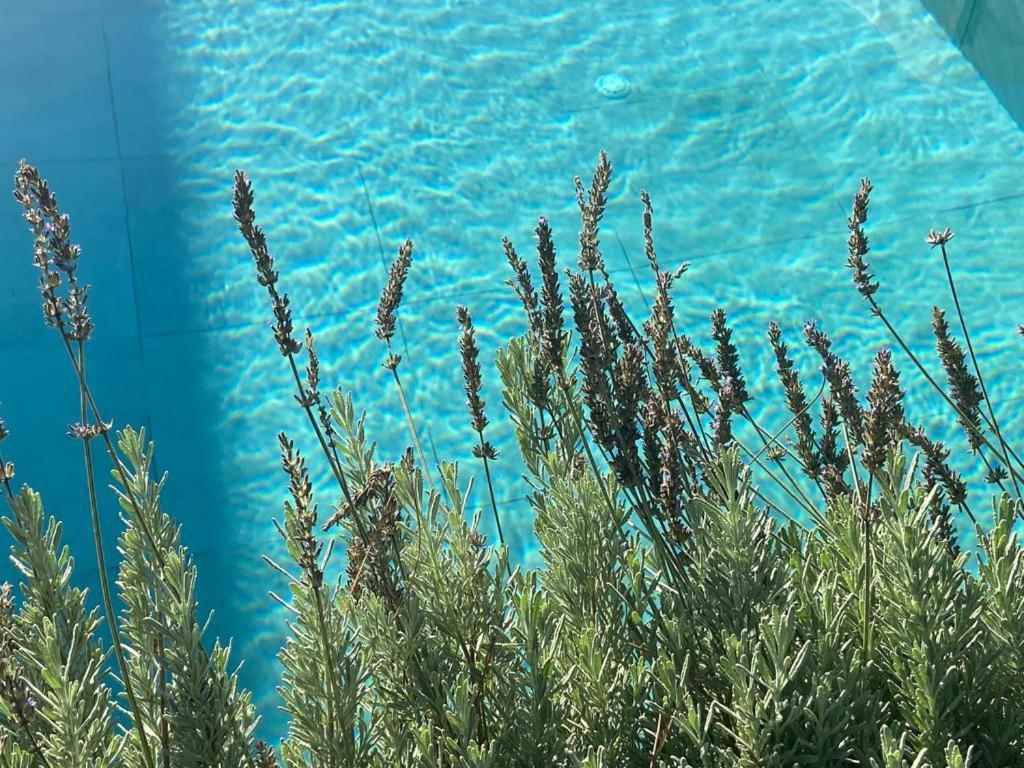 Rosemarine Villas Durrës 외부 사진