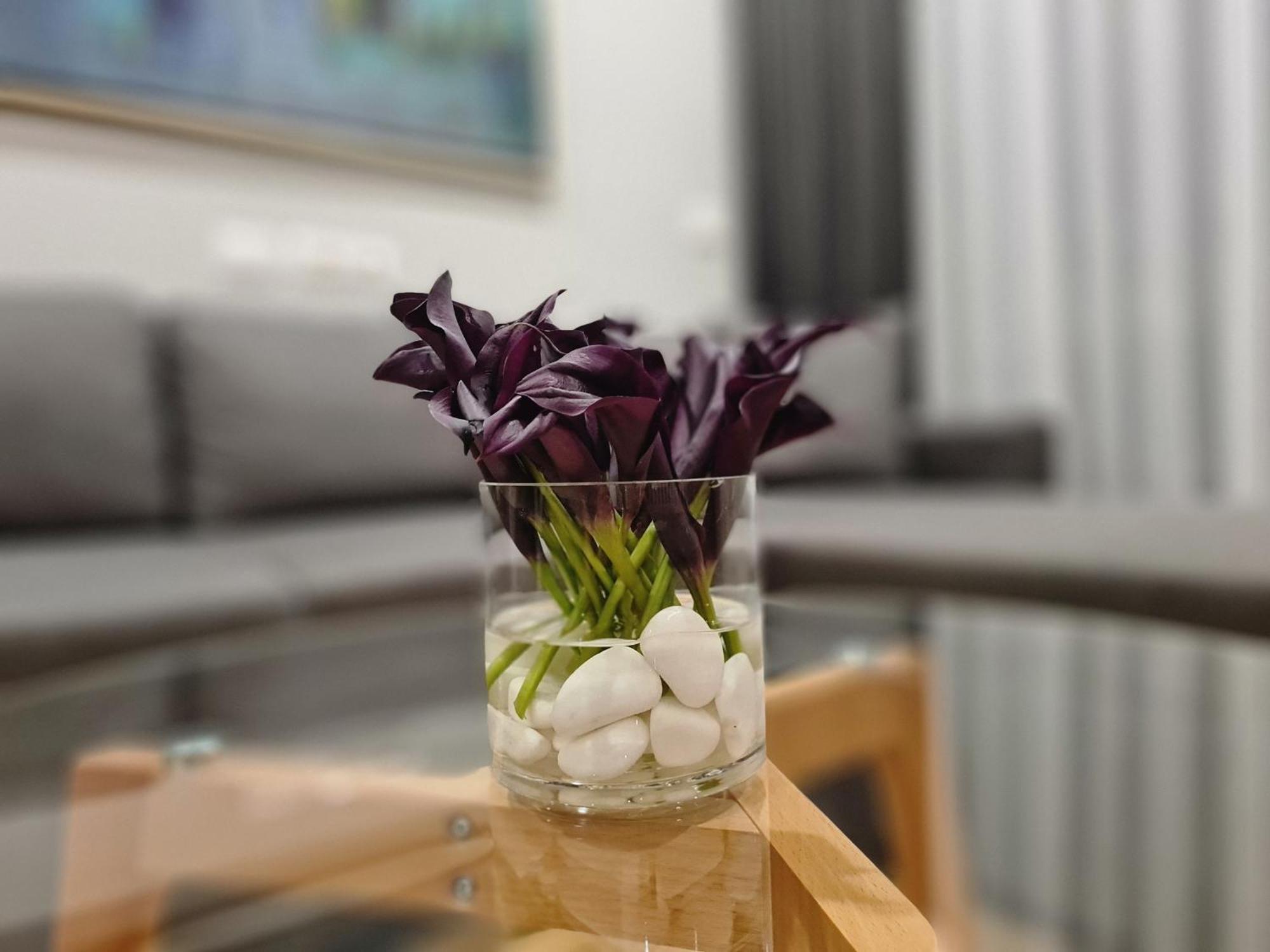 Rosemarine Villas Durrës 외부 사진